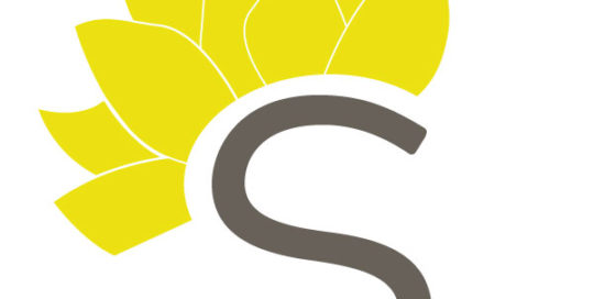 Syrena Coaching Group